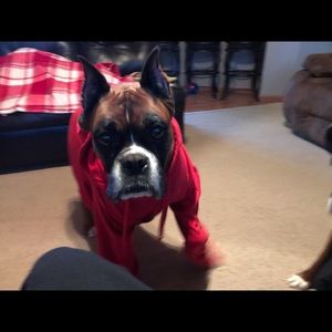 Meet your Posher, Tanner